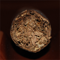 Don Ramon Maduro - 2